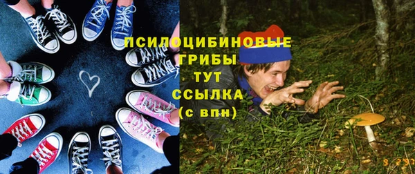 ECSTASY Богданович