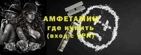 ECSTASY Богданович