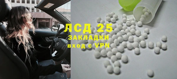 ГАЛЛЮЦИНОГЕННЫЕ ГРИБЫ Магас