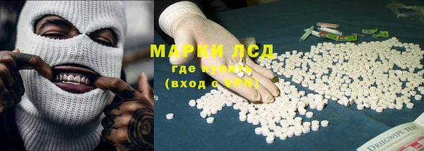 ECSTASY Богданович