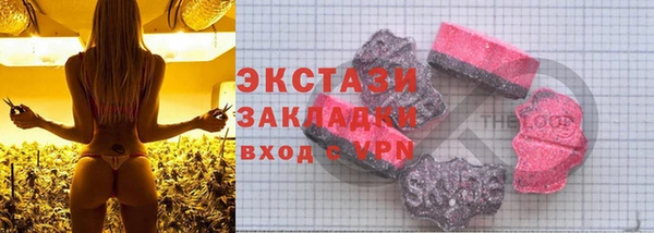 ECSTASY Богданович