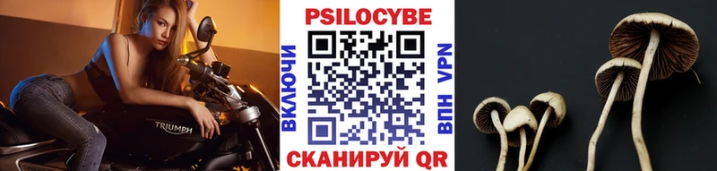 Галлюциногенные грибы ЛСД кракен tor Вилюйск